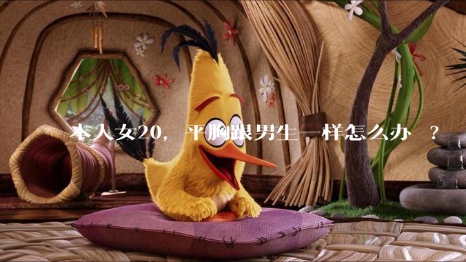 本人女20，平胸跟男生一样怎么办 ?