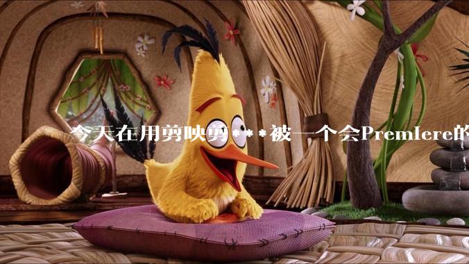 今天在用剪映剪***被一个会Premiere的同学看到了，嘲笑我用剪映，Pr剪辑真的比剪映好吗，好在哪？