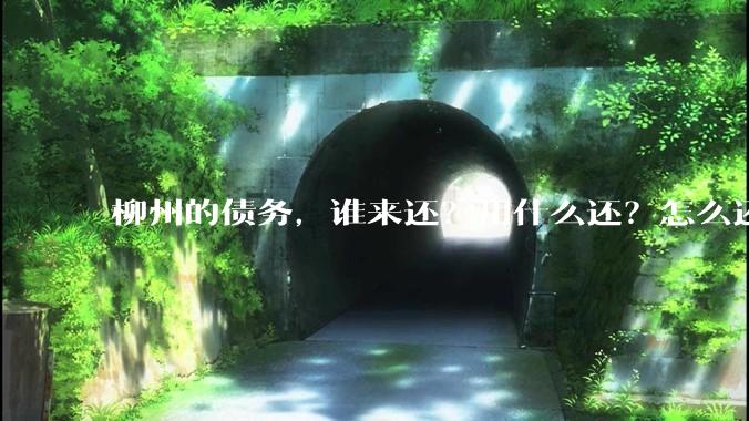 柳州的债务，谁来还？用什么还？怎么还？