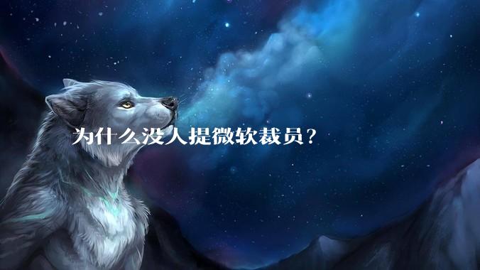 为什么没人提微软裁员？