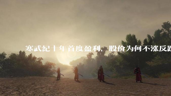 寒武纪十年首度盈利，股价为何不涨反跌？_国产_芯片_公司