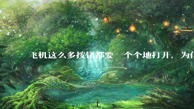 飞机这么多按钮都要一个个地打开，为什么不能一键启动？