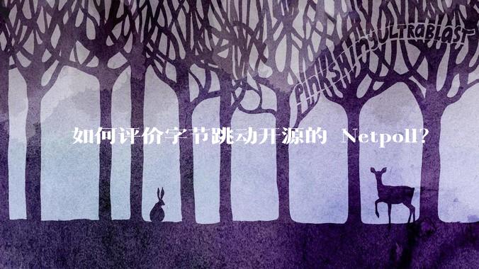 如何评价字节跳动开源的 Netpoll？