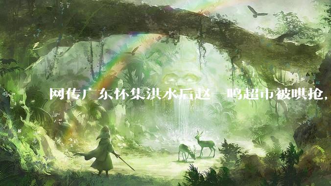 网传广东怀集洪水后赵一鸣超市被哄抢，县***回应相关单位正在核实，若属实哄抢者该承担哪些法律责任？