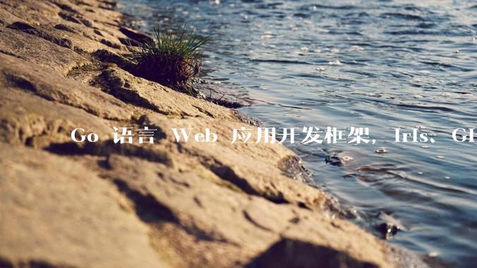 Go 语言 Web 应用开发框架，Iris、Gin、Echo，哪一个更适合大型项目？
