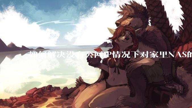 如何解决没有公网IP情况下对家里NAS的高速远程访问？