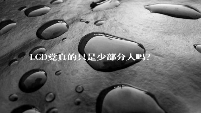 LCD党真的只是少部分人吗？